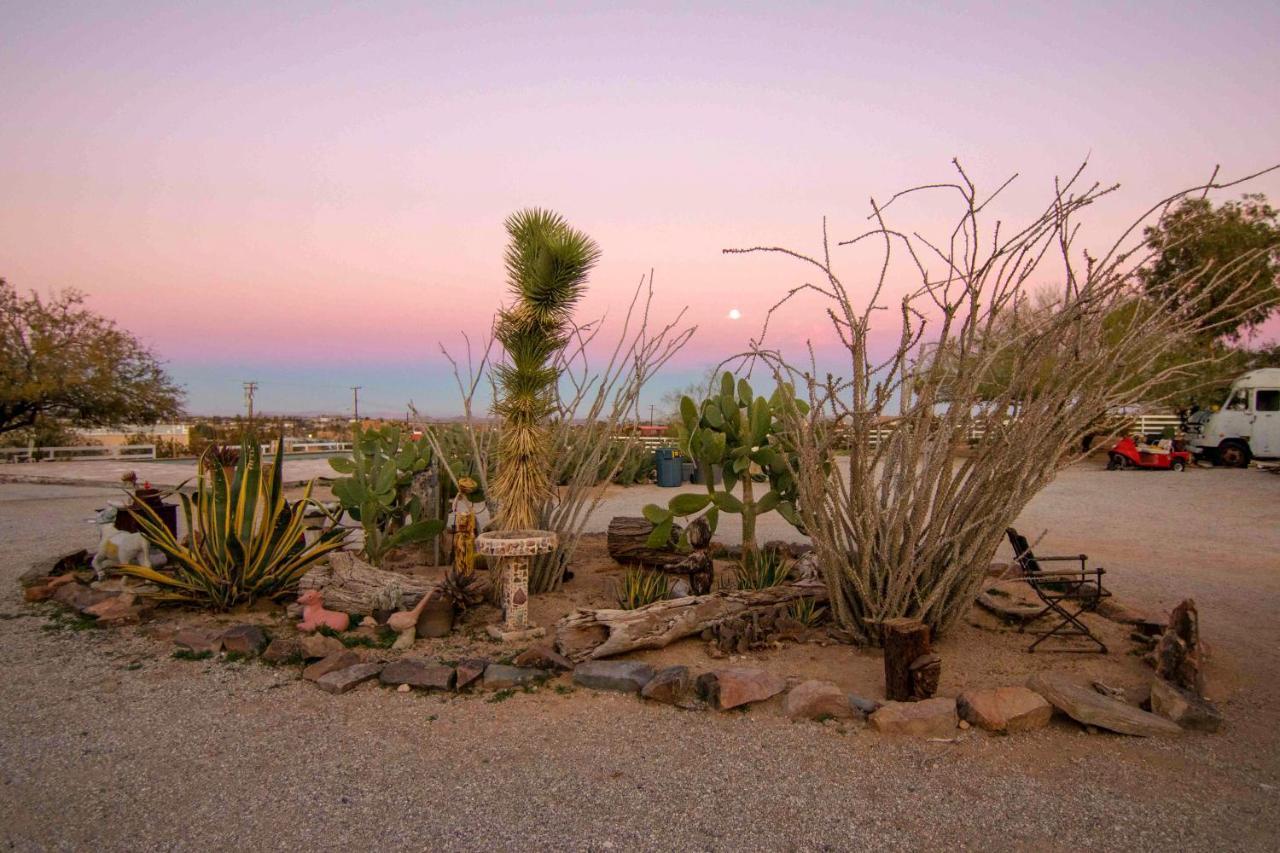 Joshua Tree Ranch House Exterior foto